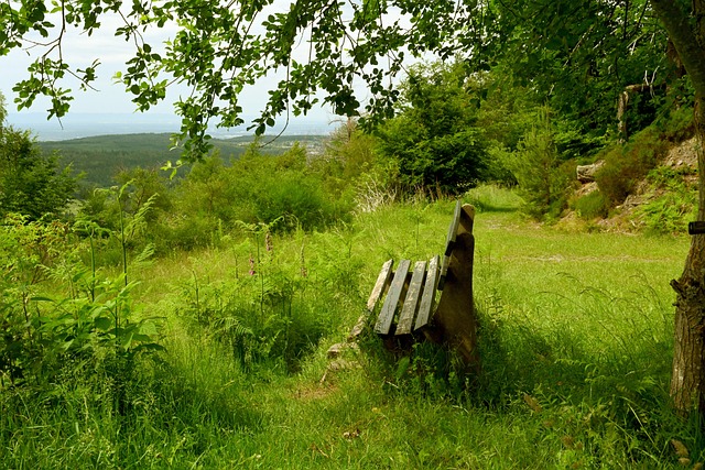 勇士主教练 勇士主教练
